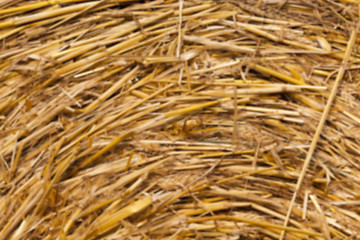 Image showing haystacks in a field of straw 