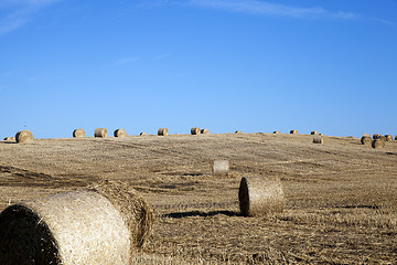 Image showing stack of straw in the field  