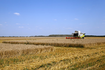 Image showing  Harvester in the field