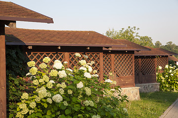 Image showing old wooden house  