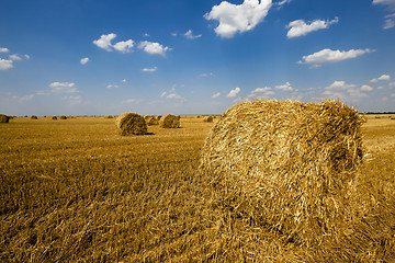 Image showing Stack of straw 