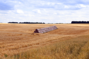 Image showing stack of wheat straw  