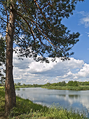 Image showing Tree on a coast of river in country