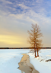 Image showing sunset  in the winter  