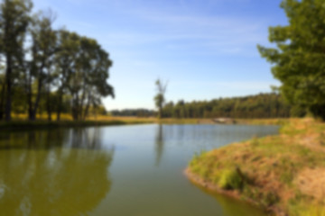 Image showing green swamp, close-up 