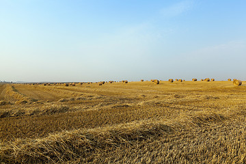 Image showing haystacks in a field of straw 