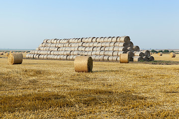 Image showing straw in the field  