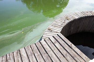 Image showing Water in the swamp 