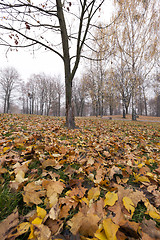 Image showing Autumn Park, overcast  