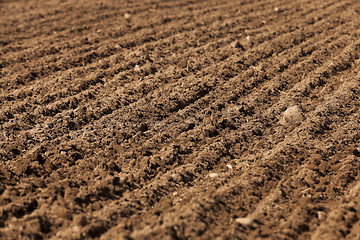 Image showing plowed land for cereal  
