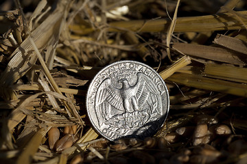 Image showing coin in the straw  