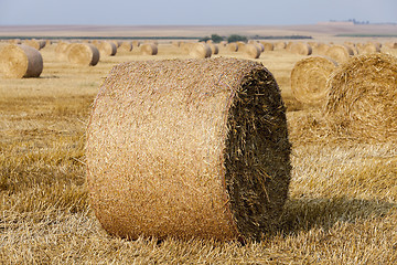 Image showing stack of straw in the field  