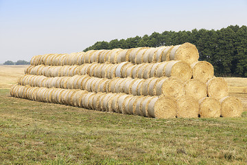 Image showing stack of wheat straw  