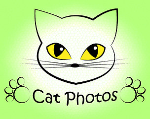 Image showing Cat Photos Shows Feline Photographer And Cameras