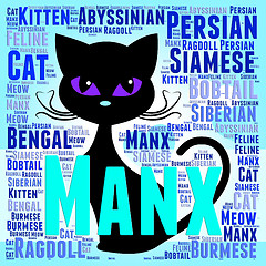 Image showing Manx Cat Represents Breeds Pets And Pedigree