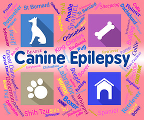 Image showing Canine Epilepsy Means Dog And Puppies Fits