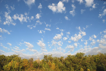 Image showing sky and plants