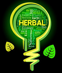 Image showing Herbal Lightbulb Represents Rural Environment And Green