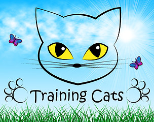 Image showing Training Cats Represents Pet Kitty And Trainer