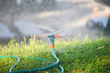 Image showing plastic water sprinkler