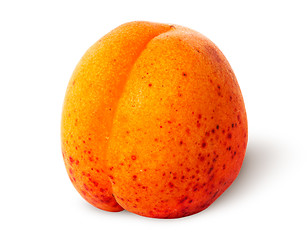 Image showing Juicy ripe apricot