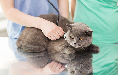 Image showing close up of vet with stethoscope and cat at clinic