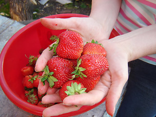 Image showing strawberry in hand