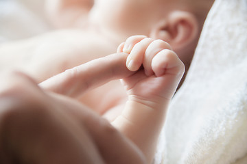 Image showing Baby holding a finger of his parent close-up