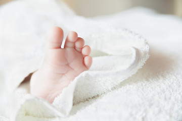 Image showing Close-up of baby feet. focused on foot.