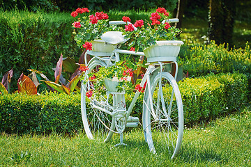 Image showing Bicycle with Flowers