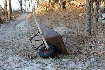 Image showing one wheelbarrow in the forrest