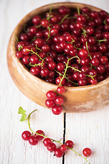 Image showing Fresh red currants