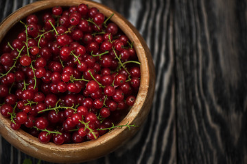 Image showing Fresh red currants