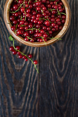 Image showing Fresh red currants