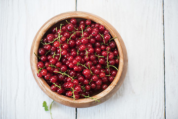 Image showing Fresh red currants