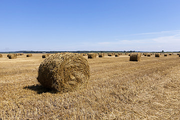 Image showing stack of straw in the field   