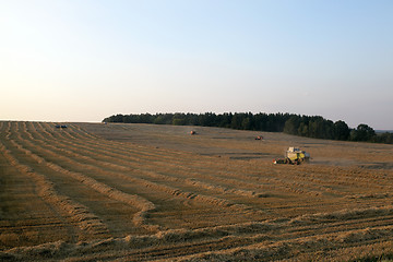 Image showing cereal harvest, summer 