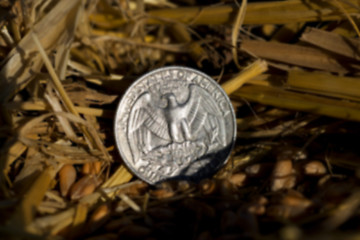 Image showing coin in the straw  