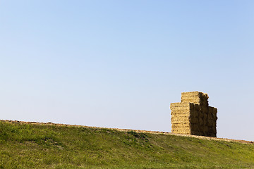 Image showing Stack of straw, wheat  