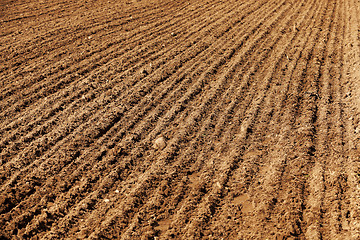 Image showing farm field cereals