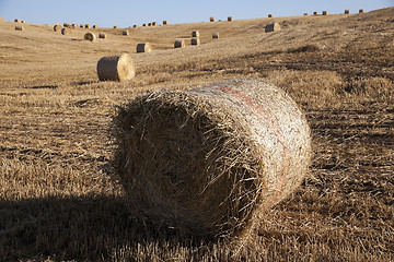 Image showing stack of straw in the field  