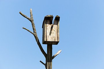 Image showing birdhouse from a tree  