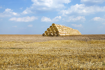 Image showing cereal harvest field  