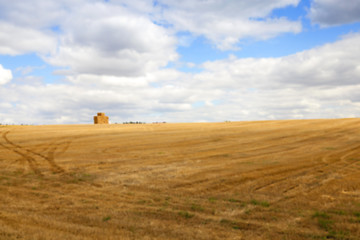 Image showing stack of wheat straw  