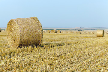 Image showing stack of straw in the field  