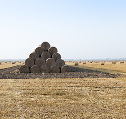 Image showing straw in the field 