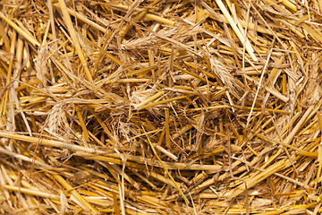 Image showing stack of straw in the field  