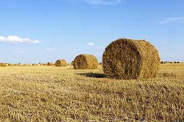Image showing Stack of straw  
