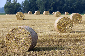 Image showing stack of straw in the field  