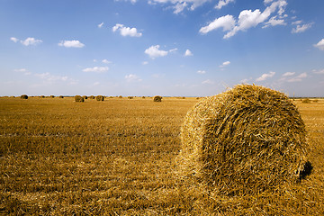 Image showing haystacks straw ,  summer